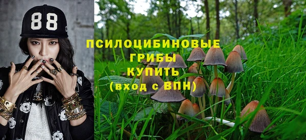 скорость Алзамай