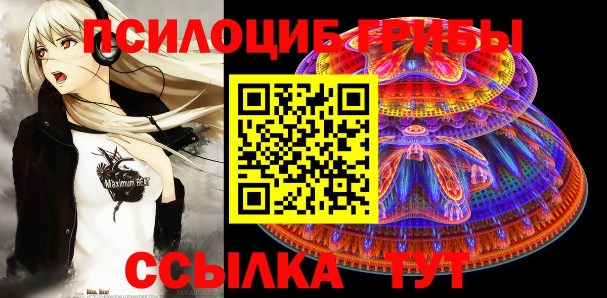 Тамбов  Галлюциногенные грибы прущие грибы  Вход с VPN 
