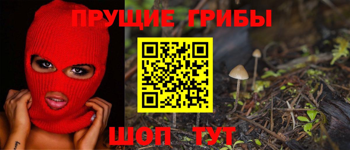 Галлюциногенные грибы ЛСД Тамбов