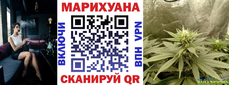 закладка  Тамбов  Каннабис индика 